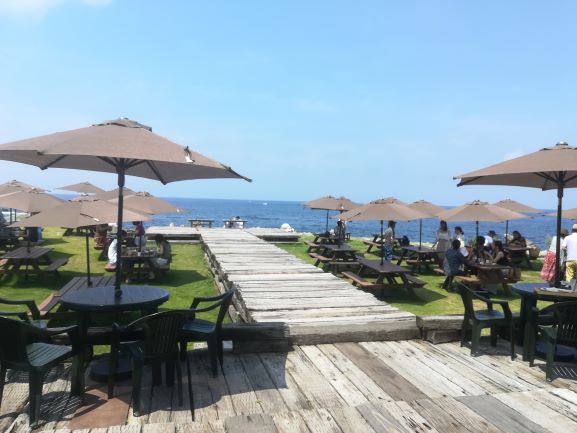 福井市のカフェマーレで海を眺めながらランチ メニュー情報も紹介 富山lab
