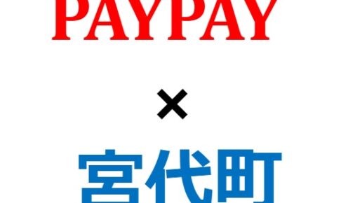 宮崎県高原町 Paypayキャンペーンの対象店舗と期間は 最大30 還元 Pay Log