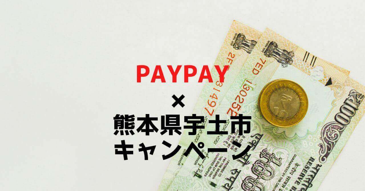 ふるさと納税 宇土市 熊本県宇土市 PayPay商品券(4,500円分)※地域